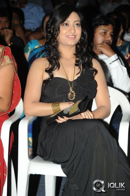 Cut-Chesthe-Movie-Audio-Launch